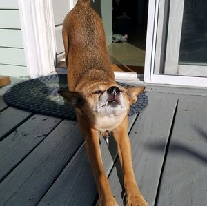 Meet your Posher, Claryn